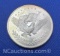 1 Troy Oz .999 Fine Silver Eagle Bullion Coin