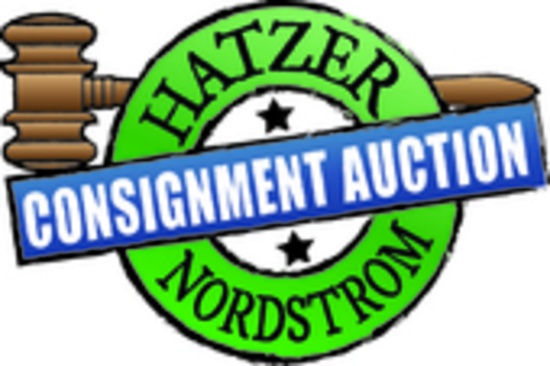 Hatzer & Nordstrom Consignment Auction Ring 2