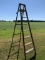 8 Ft Wooden Ladder