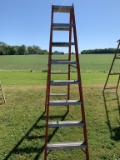 Werner 8 Ft Ladder