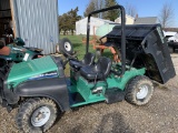 Simplicity Trail Cruiser with Front Winch