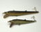 (2) Sashay Minnow Lures