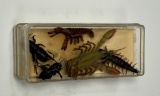 Vintage Insect-Shaped Fishing Lures