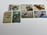 (8) Vintage Wildlife Post Cards
