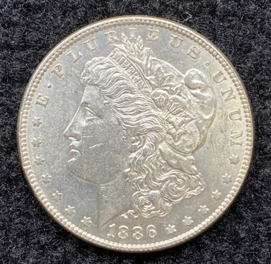 1886 Morgan Dollar