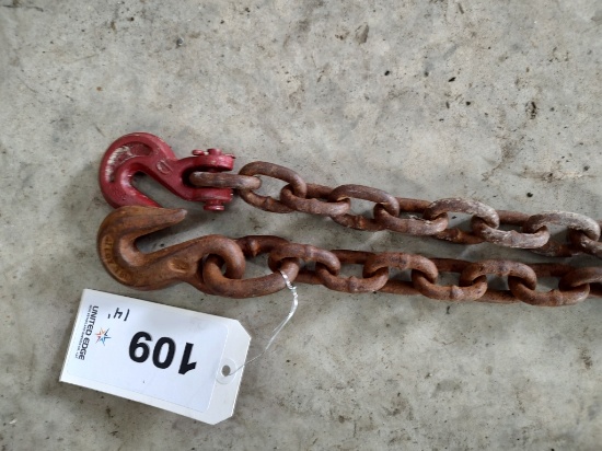 Log Chain 14ft. With hooks