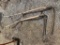 2 Antique Scythe Farm Tools