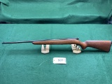 Savage Arms Hiawatha .22 Rifle