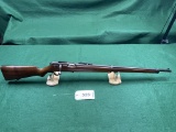 Savage Arms .22 Long Rifle