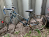 Western Flyer 10 speed Bicycle