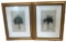 Pair of Very Fine Prints of Palm Trees, Numbered and Signed