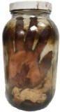 Halloween Decor, Human Hand In Jar Prop;