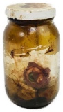 Halloween Decor, Human Eyeball in a Jar