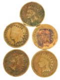 lot of 5 circulated Indian Head one cent pieces
