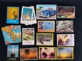 Vintage Lot Disney And Florida Postcards