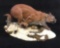 Original Mountain Lion Wildlife Sculpture by Gary Stevens