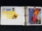 Disney Binder Of Official Programs From The Delphi Indy 200 At The Disney Speedway