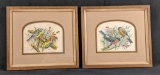 Framed Vintage Vortigern Bird Prints