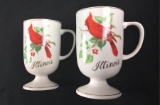 Lot of 2 Cardinal Illinois Cups