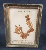 Framed Nazareth Flowers From The Holy Land