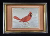 Red Cardinal On Snowy Branch Framed Picture