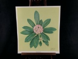 Vintage Sighed Wildlife Atrist C.Don Ensor 