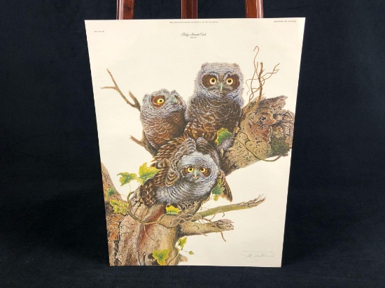 Vintage Wildlife Artist Jim Oliver "Baby Screech Owls" Signed Embossed Lithograph Print
