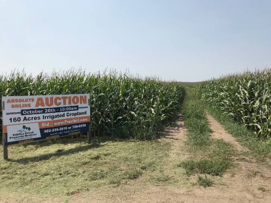 Absolute Auction - 160 Acres Saunders County Irrigated Land