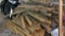 Lot of Tongue and Groove Lumber