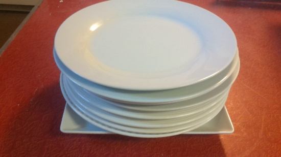 9 Misc 10" plates