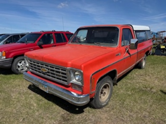 1975 CHEVROLET SCOTTSDALE 10