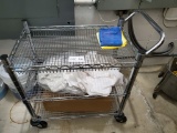 Short Stainless Steel Rolling Cart