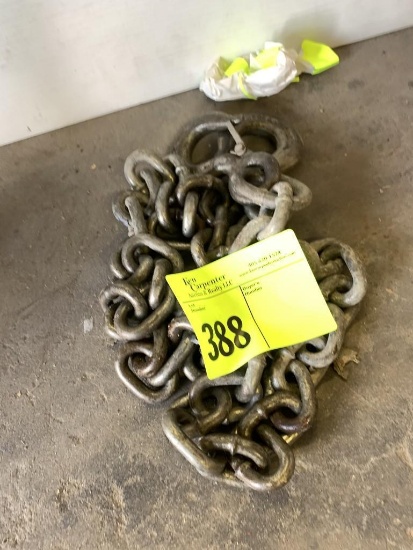 5' Chain w/ 2 Hooks