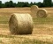 (25) 4 X 5 1/2 Round Bales Wheat Hay - Baled 2020 - Load Yourself