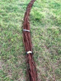 Bundle of Rebar