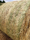 4 X 5 1/2 Round Bales Wheat Hay - Baled 2020 - Load Yourself