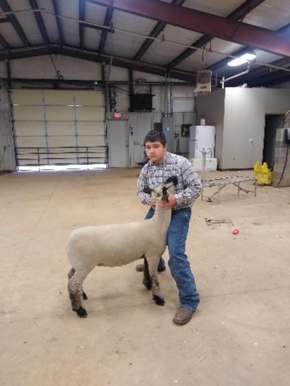 SHANE ADAMS - MUSTANG FFA