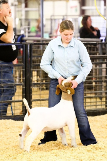 PRESLEY BILDERBACK - EL Reno... 4-H