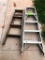 5 - Ladder & 4ft Wooden Ladder