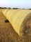 10 Round Hay Bales