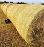 10 Round Hay Bales