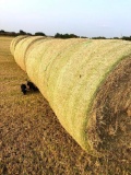 40 - 4x5 Round Bales Blue Stem/Native Hay