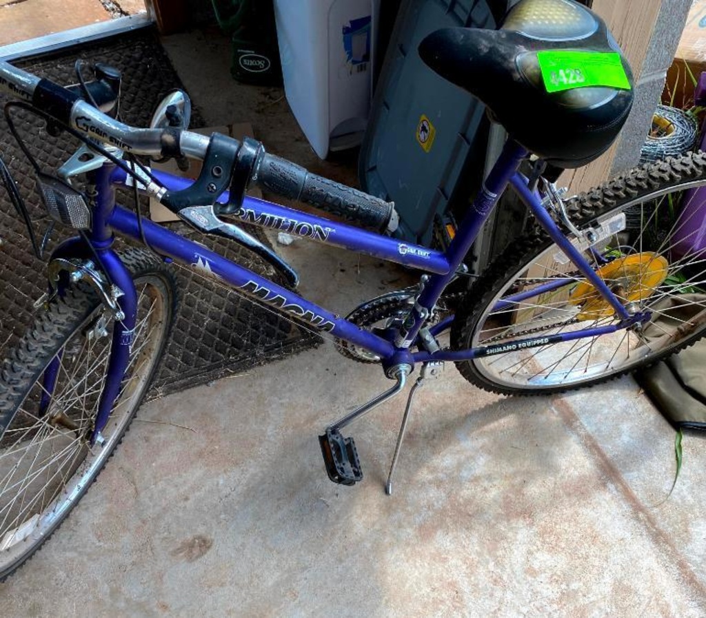 magna ladies bike