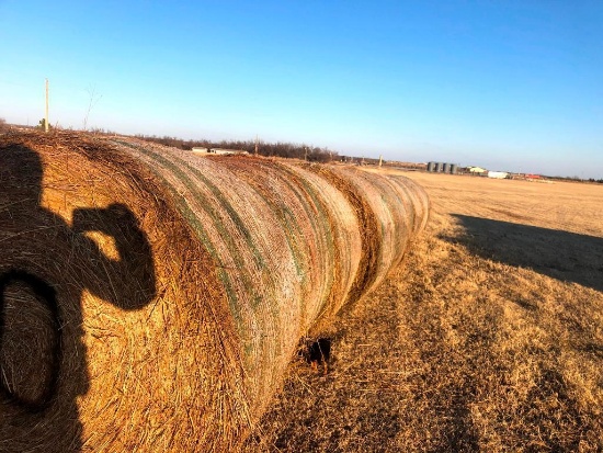 10 Bluestem Round Bales