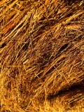 10 Bluestem Round Bales