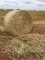 25 Round Bales Wheat Hay 4x5