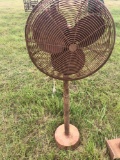 Fan