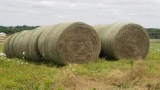 2021 Grass Hay