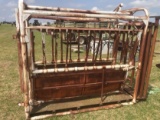 Cattle Chute - Self Catch