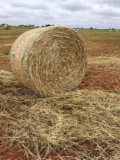 20 Round Bales Wheat Hay 4x5